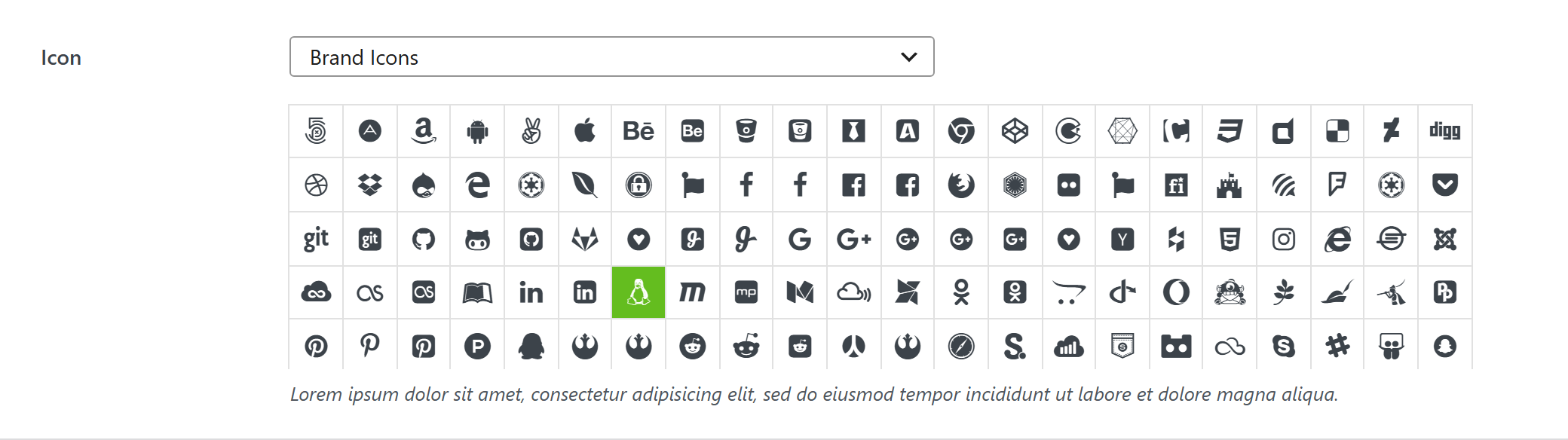 icon option type — Theme Settings example